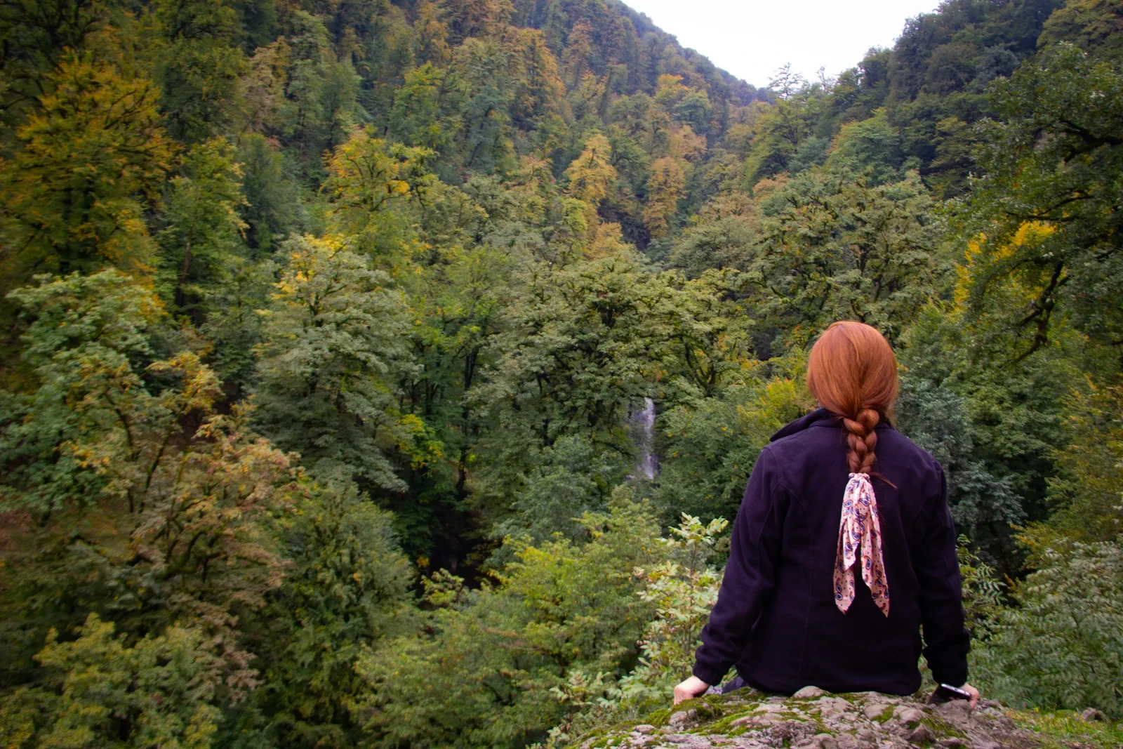 Sim and the Talysh forests