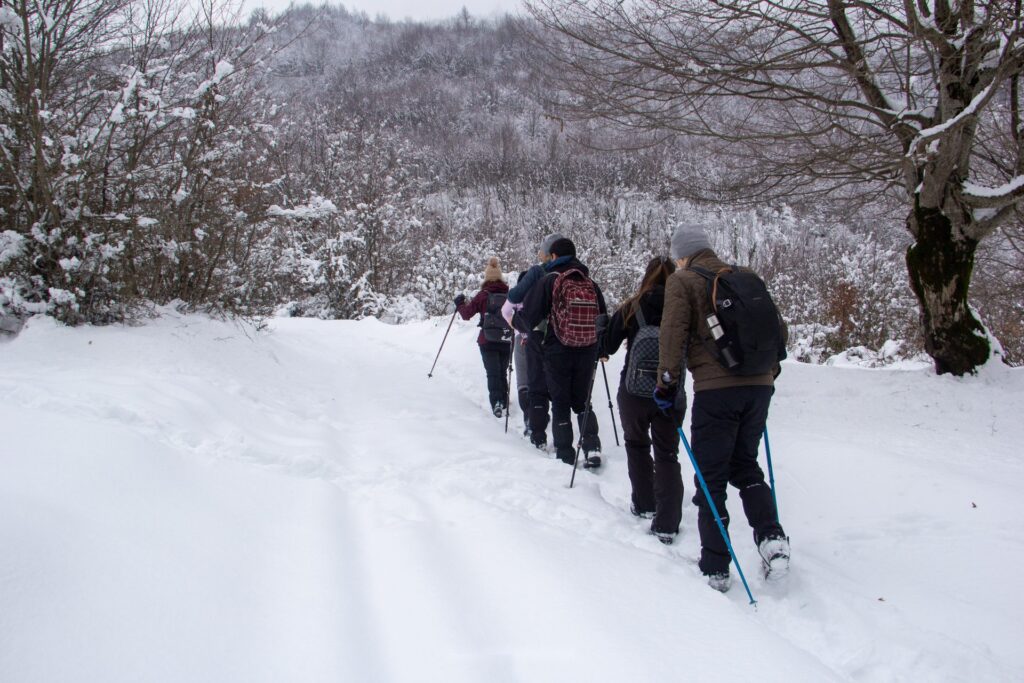 Group of hikers on a snowy forest trail to Garanohur Lake in winter, Shahdag National Park